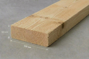 Обрезная доска 100 × 50 × 6 м